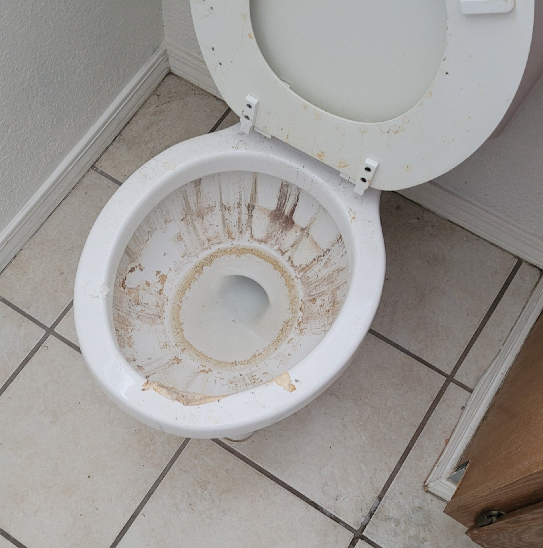 Toilet with heavy residue before cleaning
