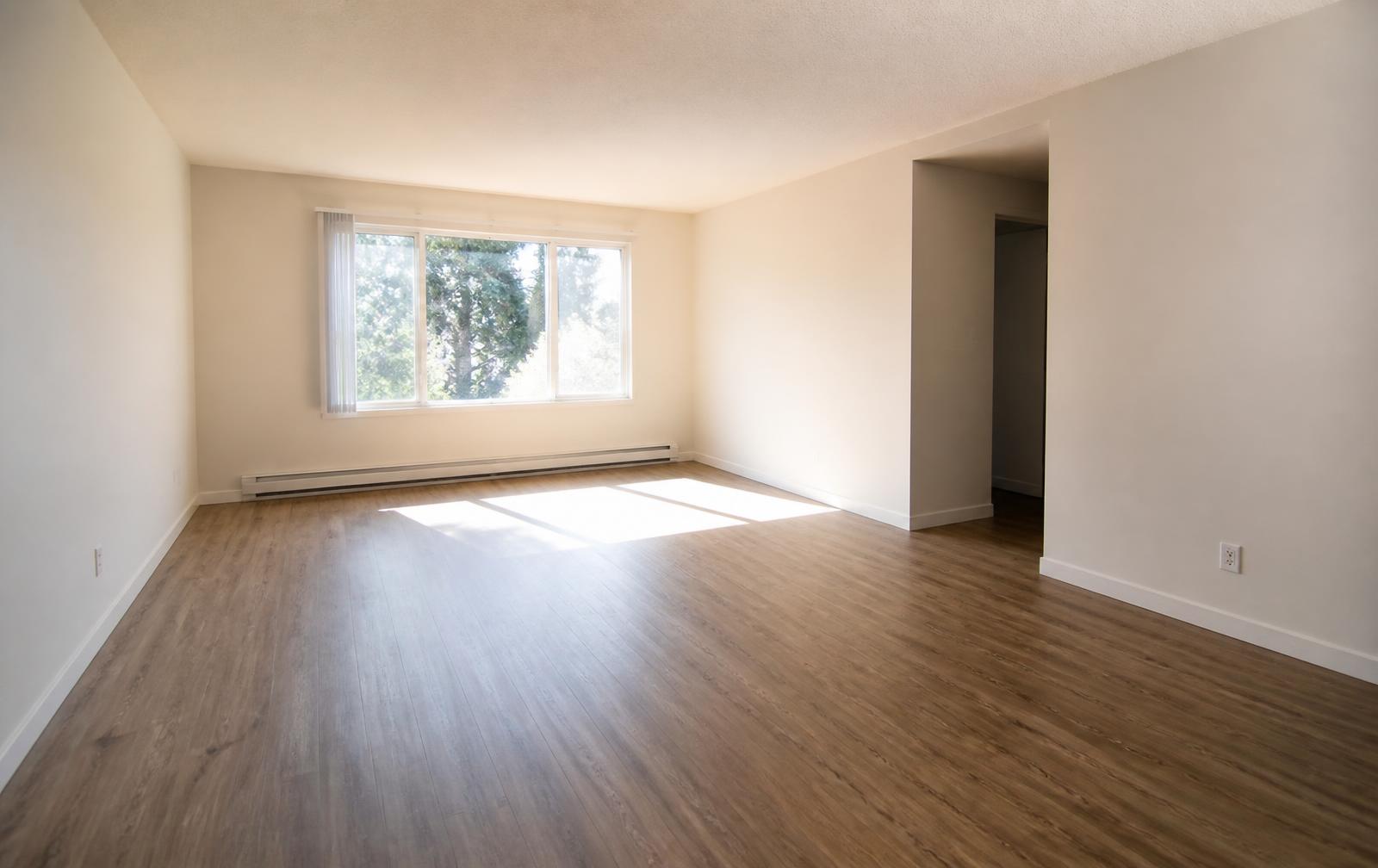 Empty living space cleaned and ready for move-in